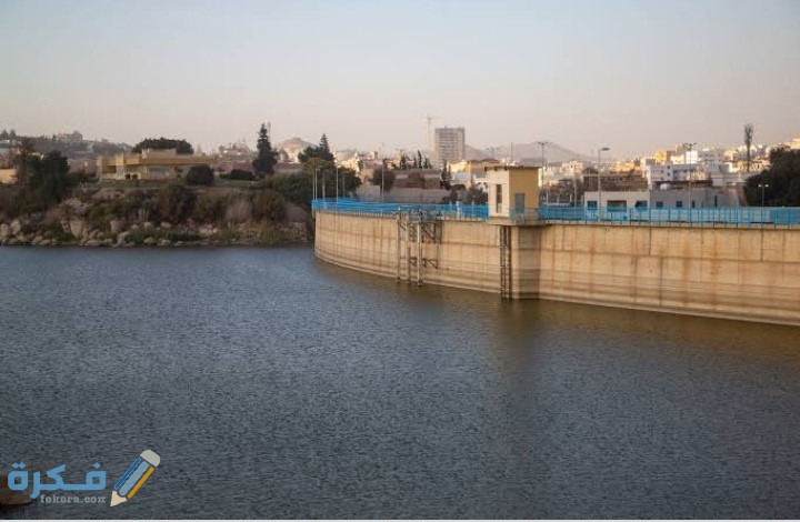 IMG ٢٠٢٠١٢١٠ ٠٢٢٣٠٠