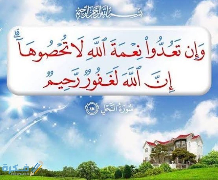 IMG ٢٠٢٠١٢١٤ ١٧٣٦٠٨