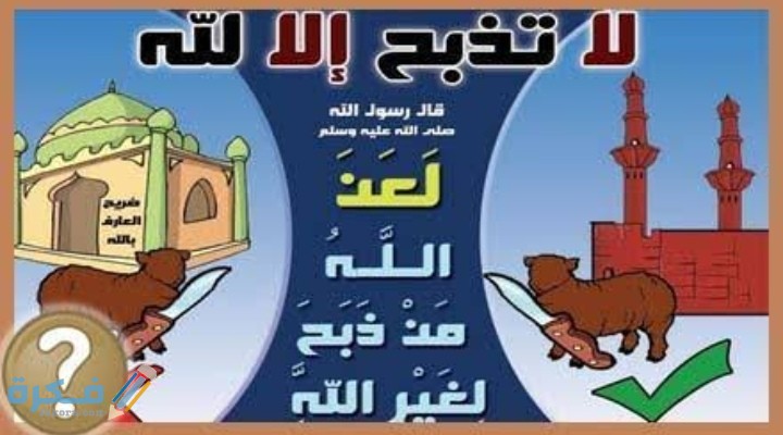 IMG ٢٠٢٠١٢١٤ ١٧٣٦٤٠