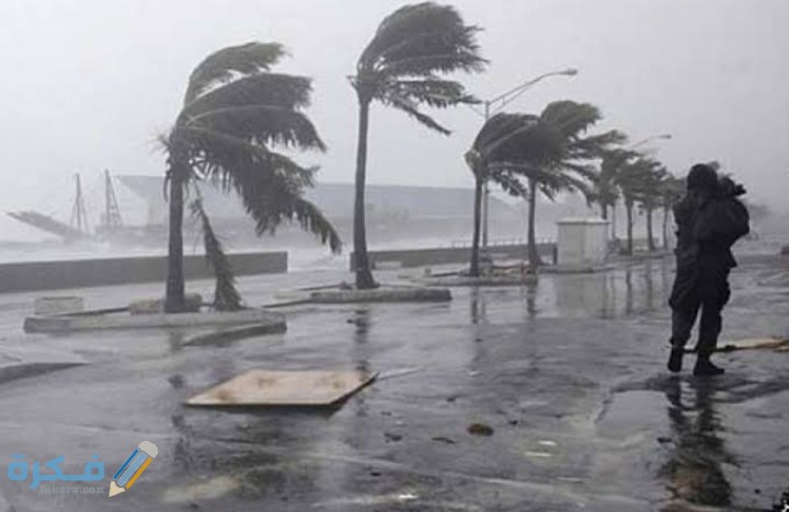 IMG ٢٠٢٠١٢١٥ ٠٢٤٩٠١