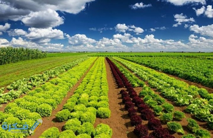 IMG ٢٠٢٠١٢٢٣ ٠٠١٩٠٨