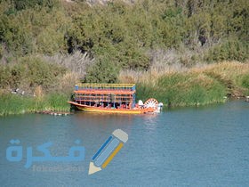 inbound12612789341489409