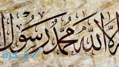 اذكر خمسة من الأمور التي تناقض شهادة أن محمدا رسول الله