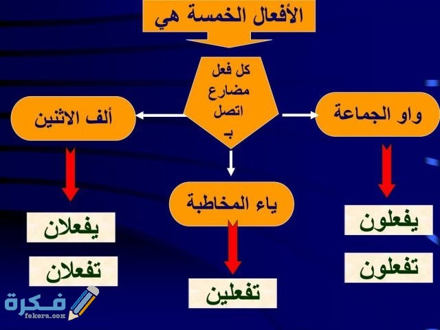 مفهوم الافعال الخمسة واوزانها 