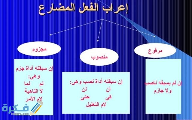 إعراب الفعل المضارع 