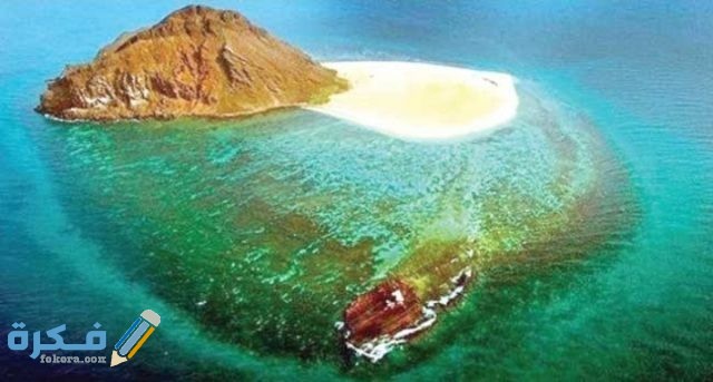 IMG ٢٠٢١٠١١١ ٠١١٢٣٦