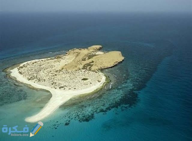 IMG ٢٠٢١٠١١١ ٠١١٢٤٨