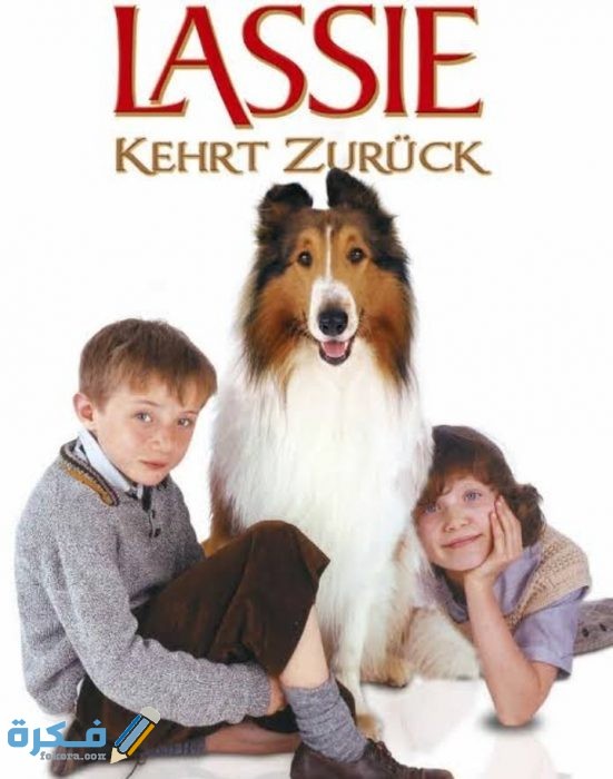 IMG ٢٠٢١٠١١٦ ١٧٤٧٥٧