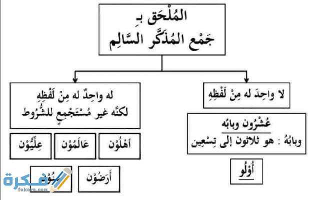 الملحق بجمع المذكر السالم 