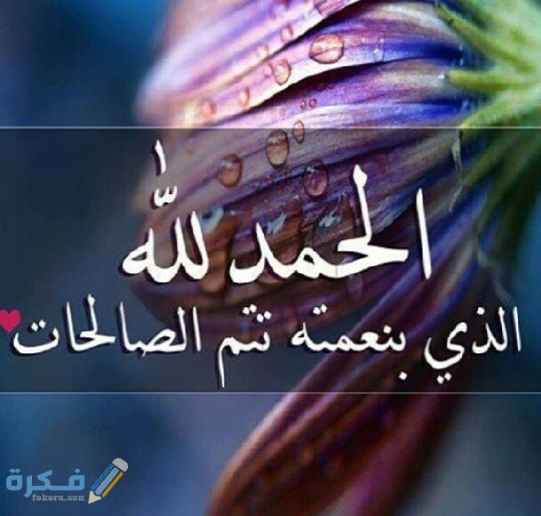 f37c6 14276437 1244757282243934 1682603936 n