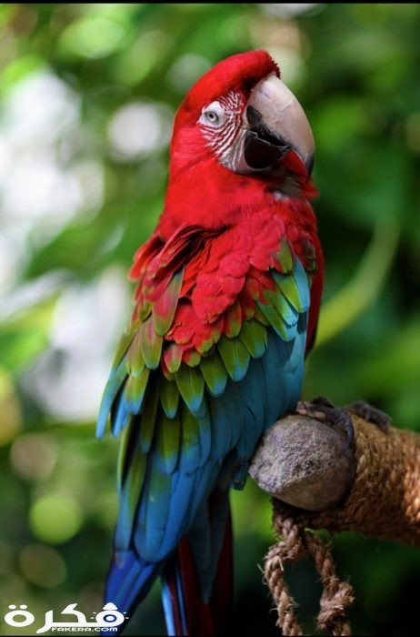 inbound2127755628667815698