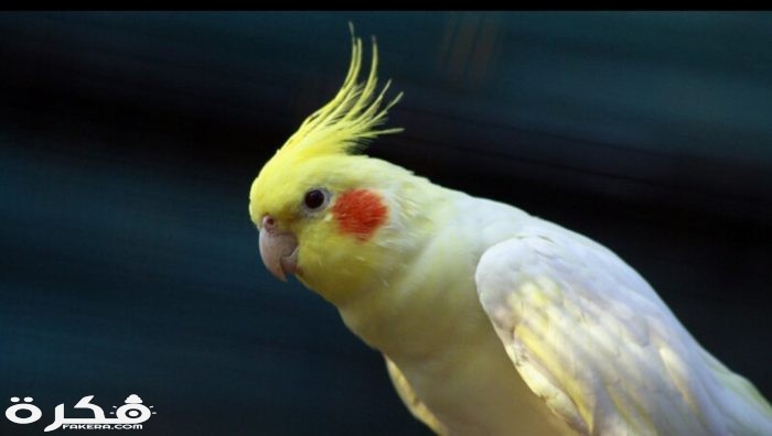 inbound284290387156853582