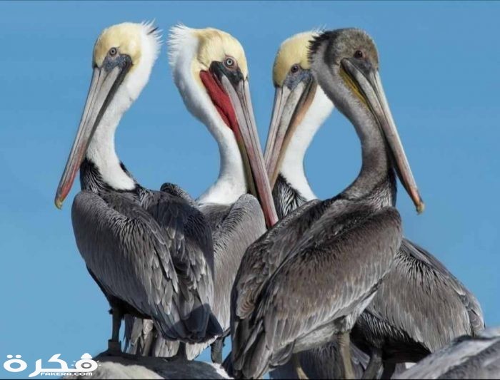 inbound2921018030082950857