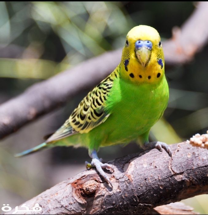 inbound4873418069030191525