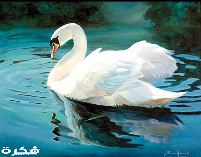 inbound5661683163351887243