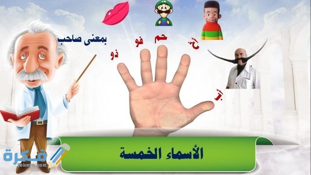 ما هي الأسماء الخمسة