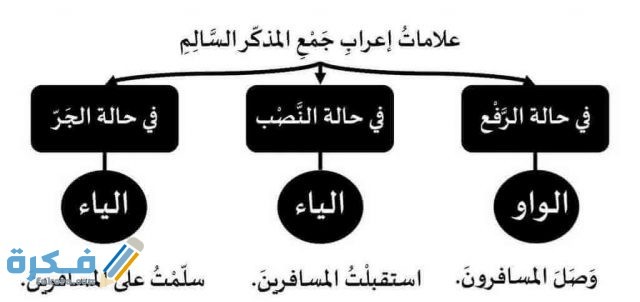 جمع المذكر السالم 