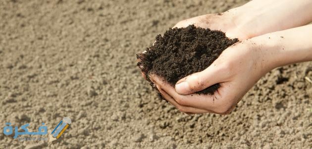 كيفية التيمم بالحجر للصلاة كيفية التيمم بالحجر