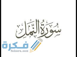 لماذا سميت سورة النمل بهذا الاسم ؟