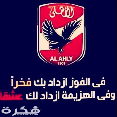 11849939 173338883001775 708658414 n