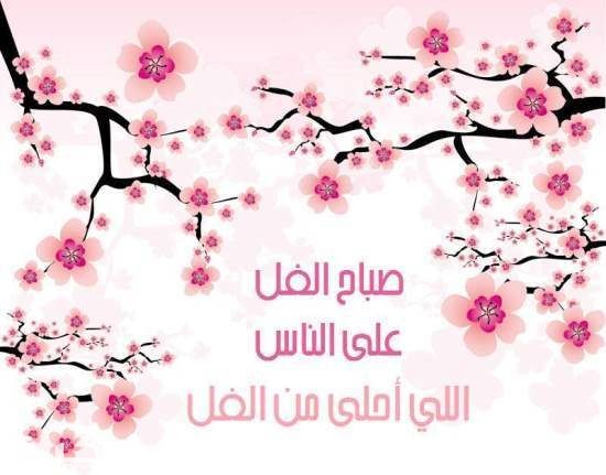 صور صباح الفل 1218535bcfda8f37d576952960e0920c