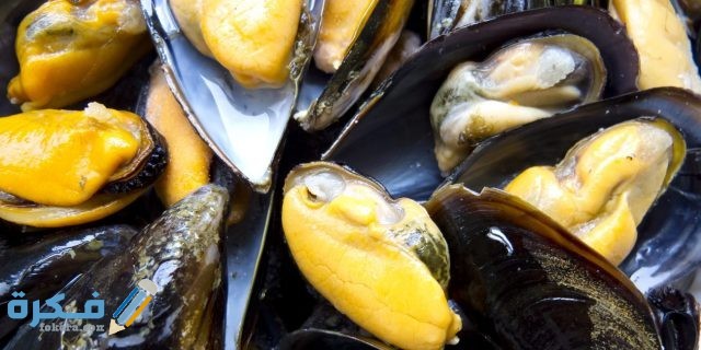 اسم الحيوان الذي يصنع اللؤلؤ