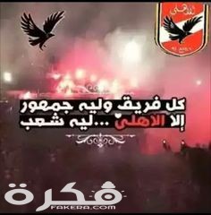 1536e2334865278407815675e6e54cb9