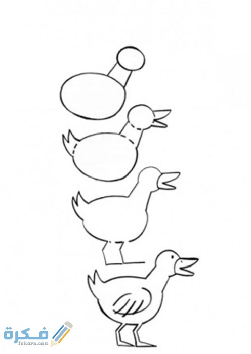 كيفية تعلم رسم الطيور للاطفال