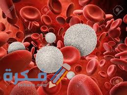 النسب الطبيعية لكريات الدم البيضاء في الجسم 