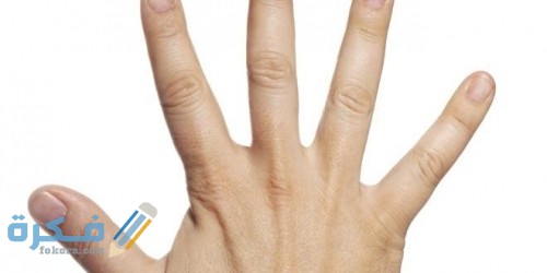 255562859853593 500x250 1