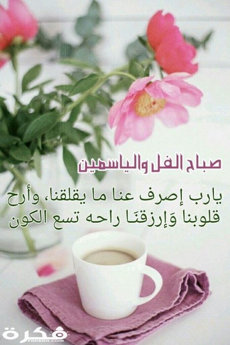 صور صباح الفل 2623 1