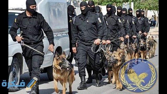 كلاب التحاليل الجنائية