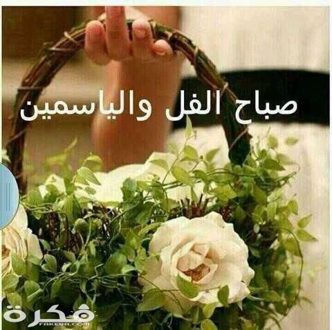 صور صباح الفل 3169