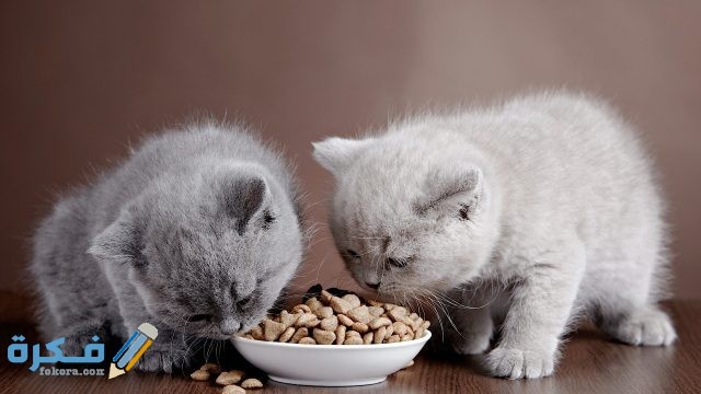 نقص العناصر الغذائية الأساسية