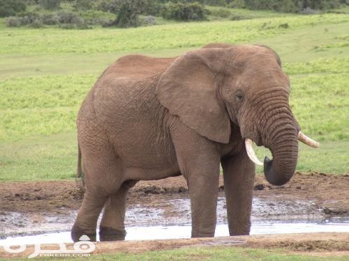 38 1 or 1388760955 1