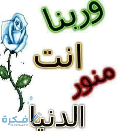 الرد على منور