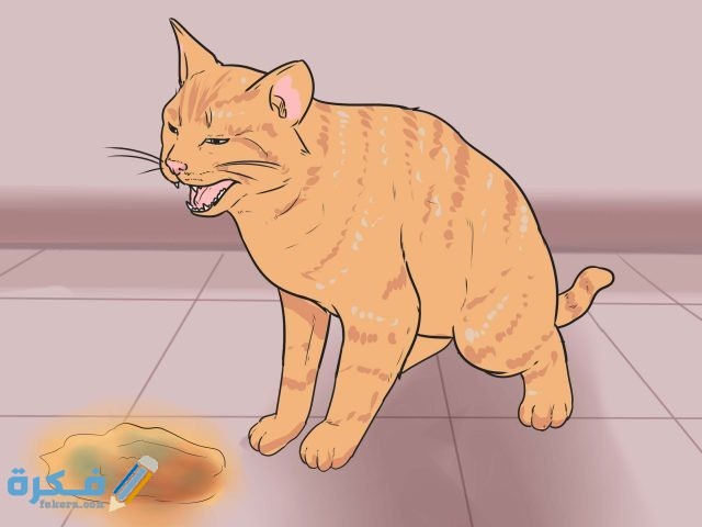 نصائح أساسية عند تدريب القط على دخول الحمام