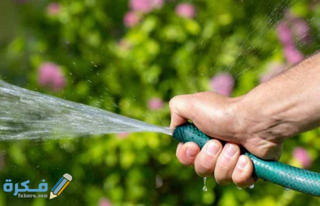 استخدام الماءلطرد القطط 