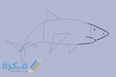 طريقة رسم السمكة بالصور للأطفال