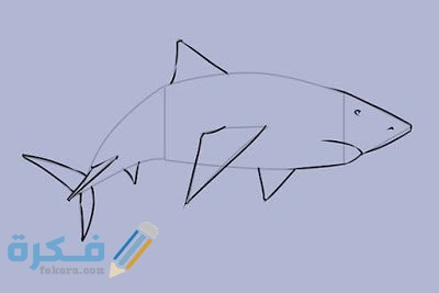 طريقة رسم السمكة بالصور للأطفال