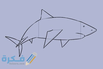 طريقة رسم السمكة بالصور للأطفال