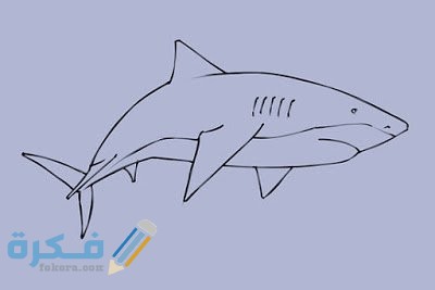 طريقة رسم السمكة بالصور للأطفال
