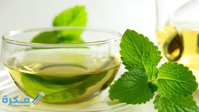 تفسير رؤية النعناع الأخضر في المنام تفسير رؤية النعناع الأخضر في المنام