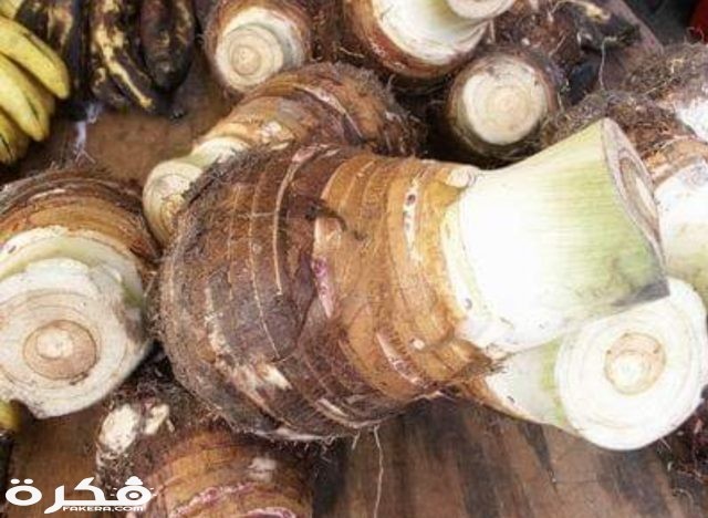 السعرات الحرارية في القلقاس