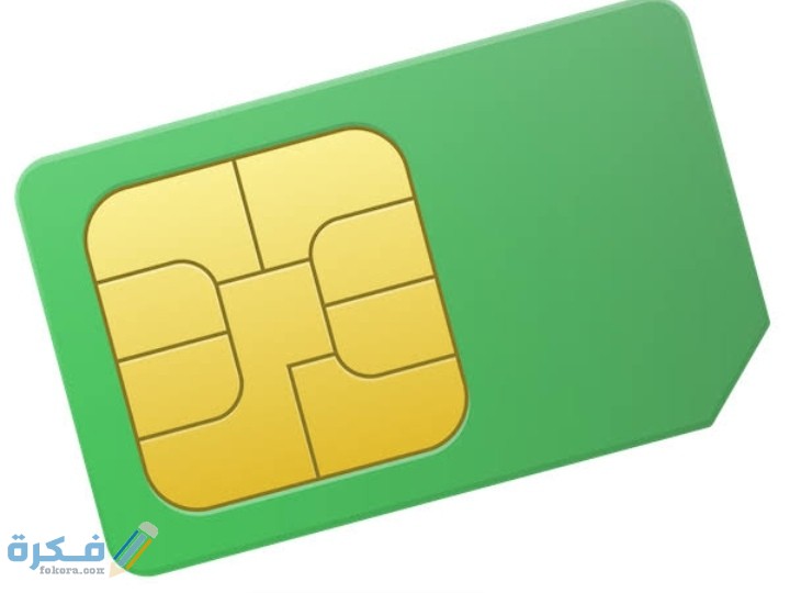 IMG ٢٠٢١٠٢٠٥ ٠٠٢٩١١