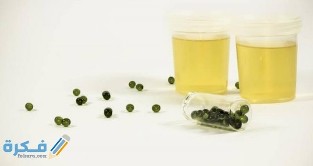علاج تنقيط البول عند النساء أسبابه وطرق الوقاية منه علاج تنقيط البول عند النساء أسبابه وطرق الوقاية منه