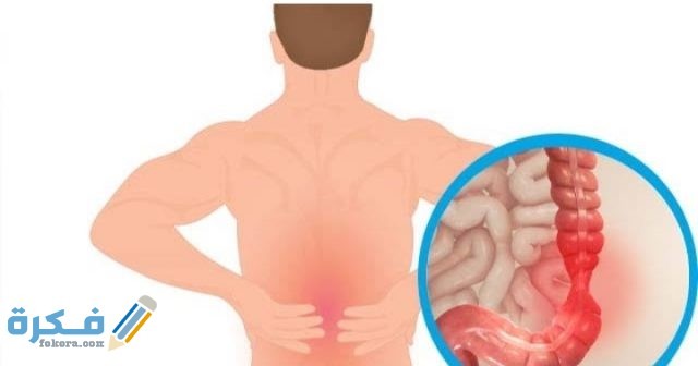 هَلْ القولون يسبب الم في اعلى الظهر؟ وأسباب الشعور بآلام الظهر