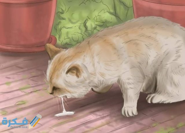 أدوية ترجيع القطط