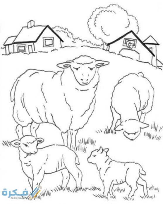 كيفية رسم مزرعة كاملة للاطفال