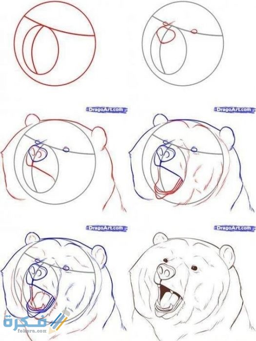 كيفية تعليم رسم الحيوانات البرية 